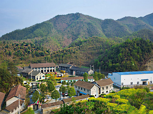 热烈祝贺心博官方网页版正式上线！